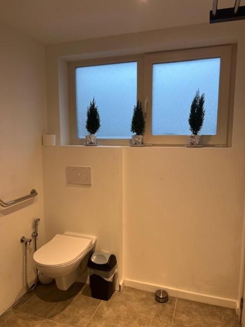 Hotel Cosy Mechelen Zewnętrze zdjęcie